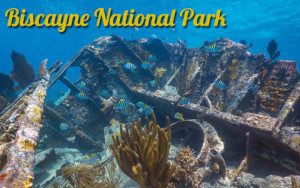 Biscayne-national-park-name-only