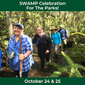 Swamp Walks